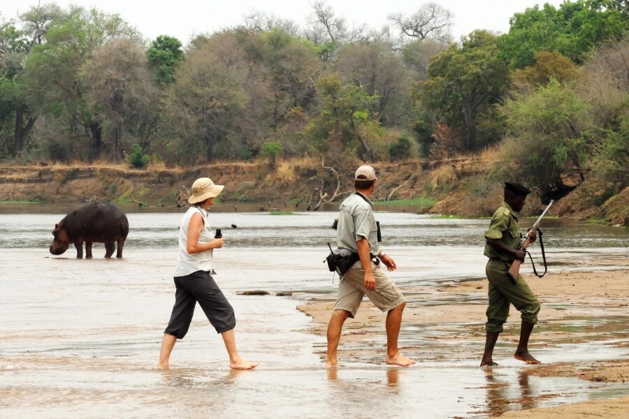 Best safaris along Africa's Rivers