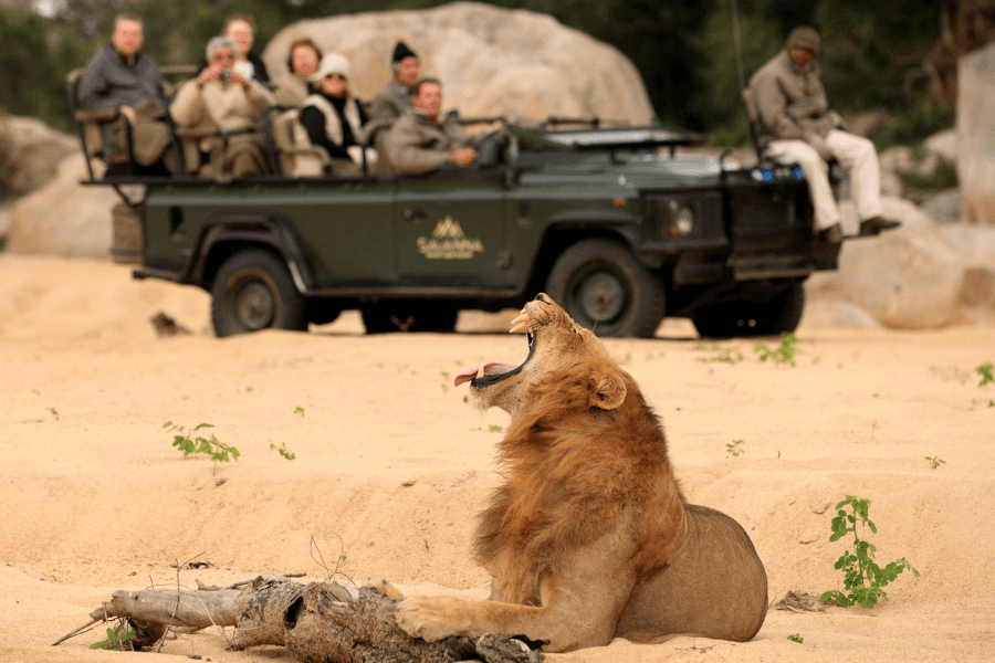 Safari in the Sabi Sands