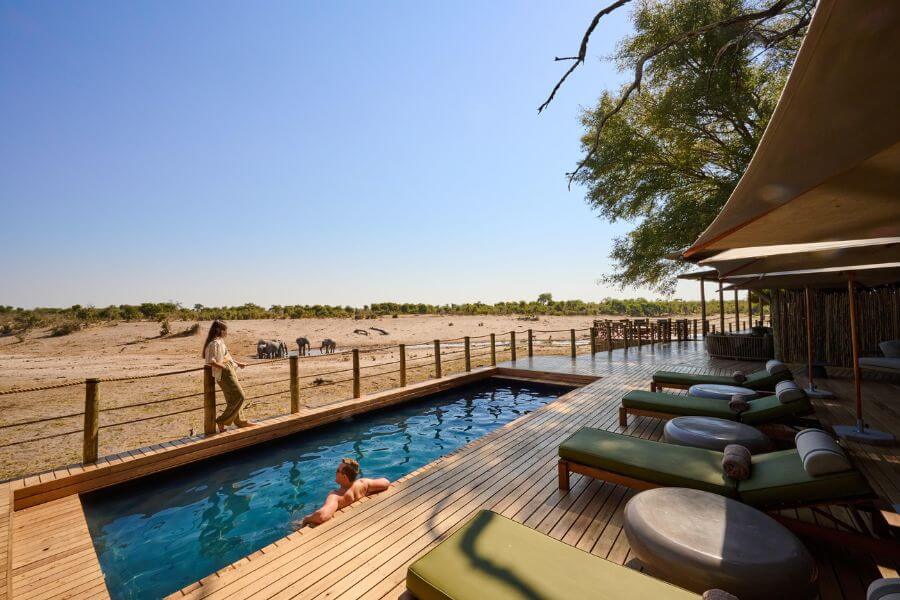 Lodge swimming pool in the Savute overlooking busy waterhole