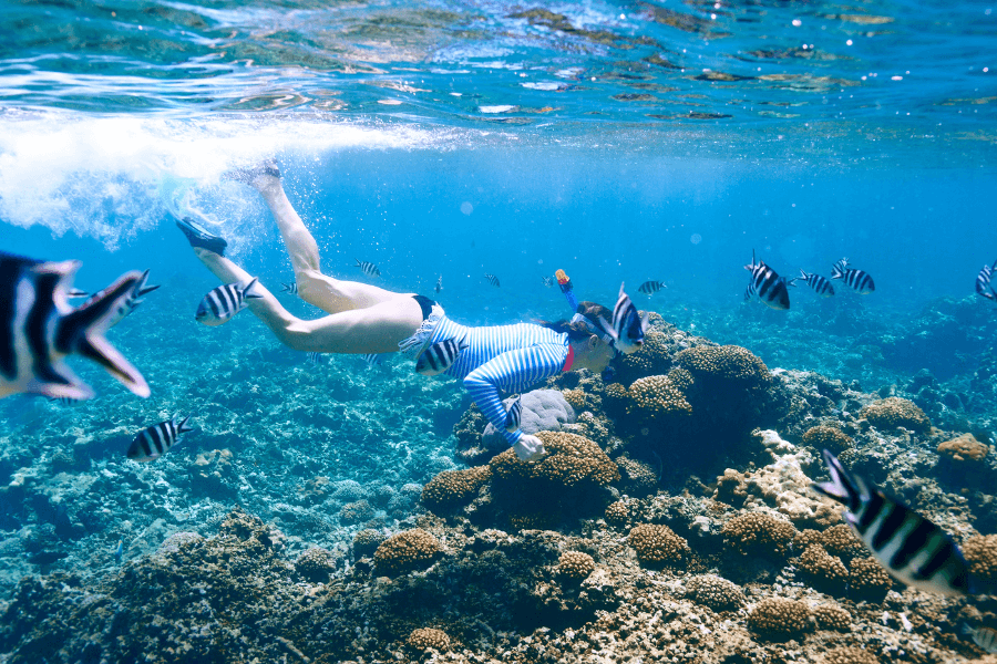 Snorkeling in Seychelles