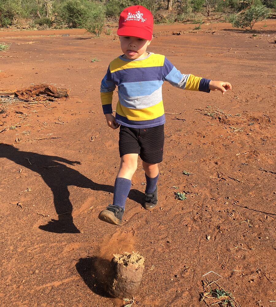 Family Game Drive at Jaci's Safari Lodge