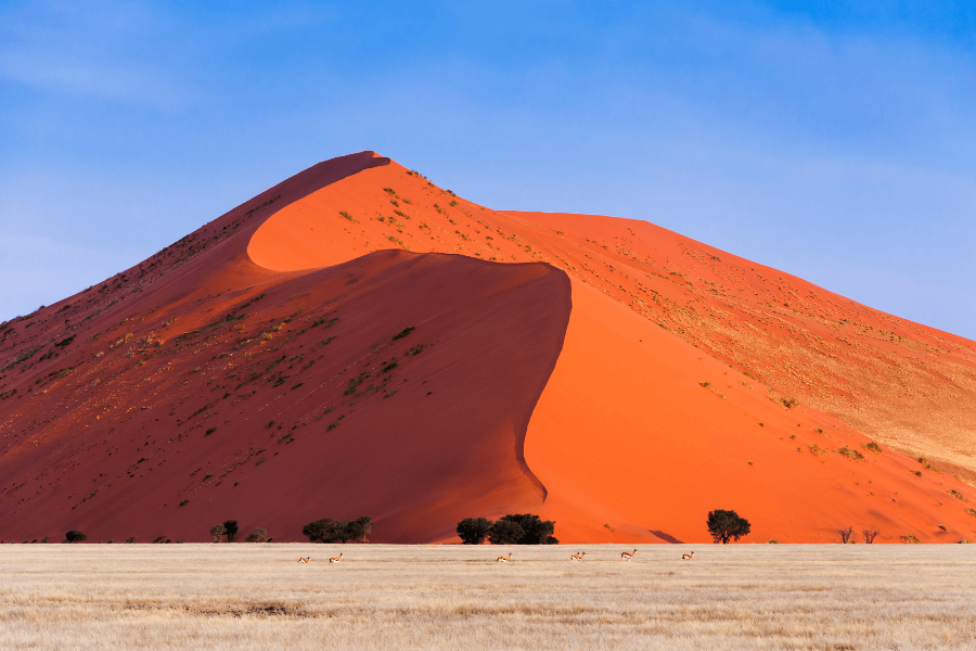 Planning an African Honeymoon