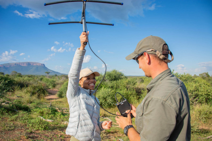 Tracking Rhinos