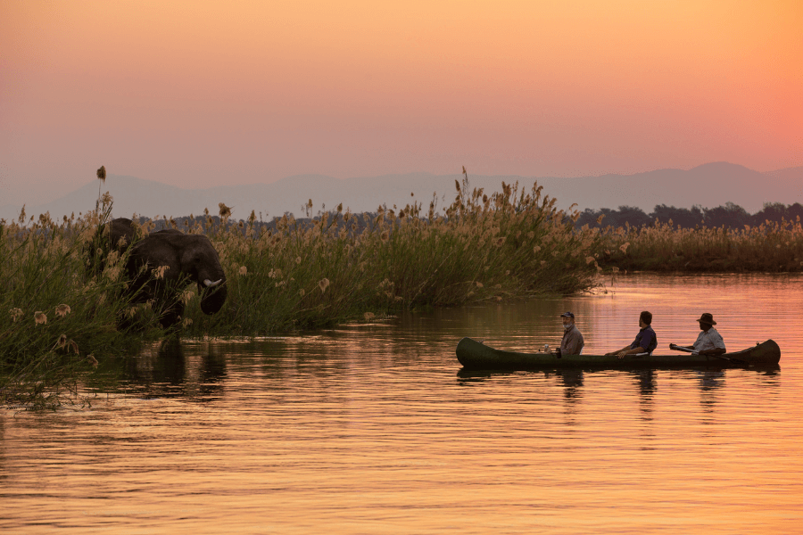 Wildlife watching from a canoe