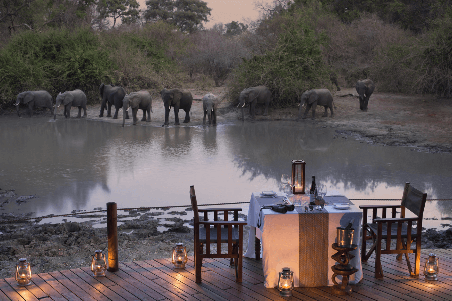 The Many Faces of Mana Pools armchair safari