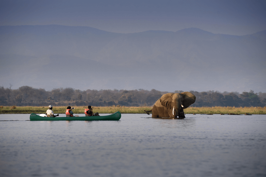 The Many Faces of Mana Pools canoe safari