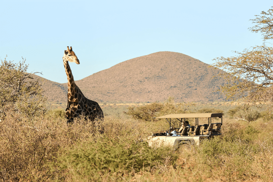 Tswalu The Red Kalahari