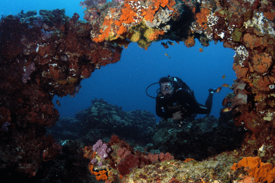 Sbuba diving along the reef