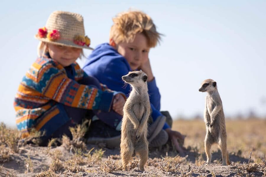 Why book an African safari?