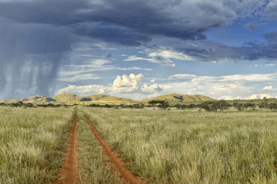 Tswalu Kalahari in the green season