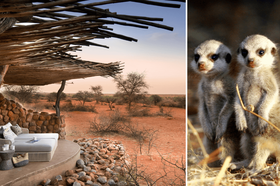 Malaria free family safari accommodation