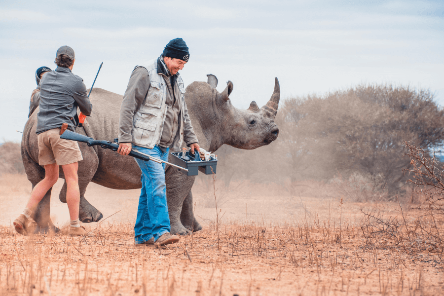 Expert Rhino Conservation Safari