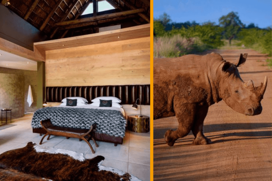 Safari lodge in malaria free Pilanesberg reserve