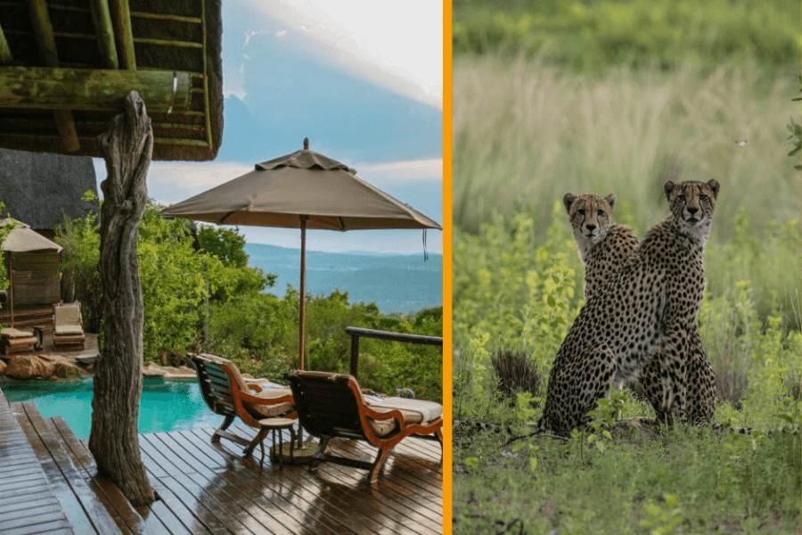 Lodge accommodation and game viewing at malaria free Welgevonden reserve