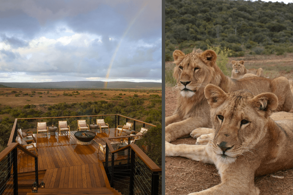 Boma with a view on malaria free Shamwari reserve