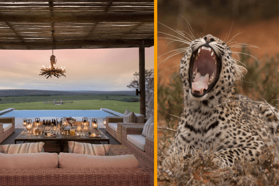 Malaria free Kwandwe reserve