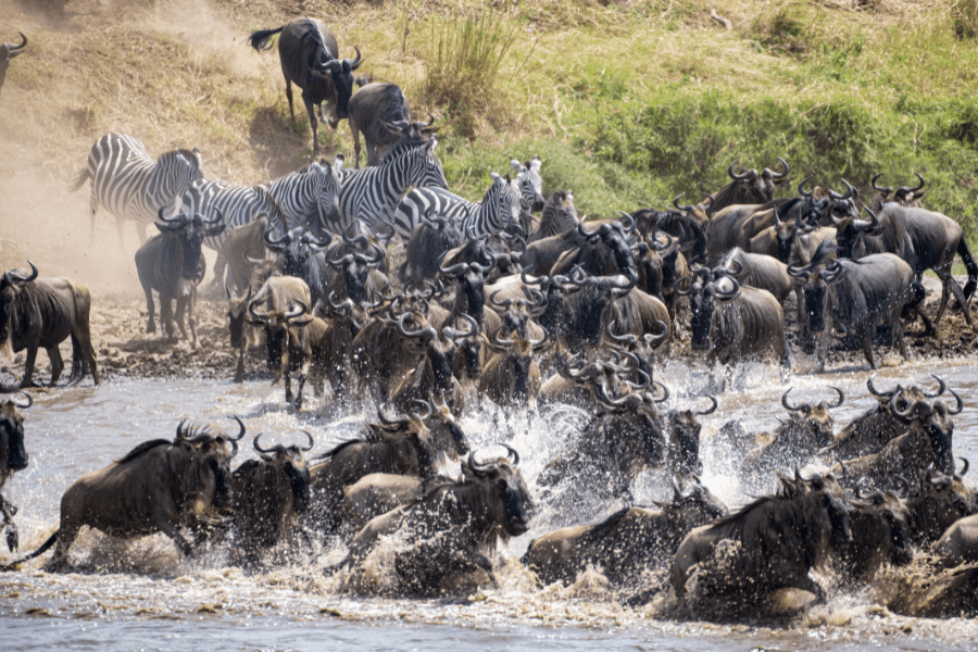 Planning an African Honeymoon during a seasonal event