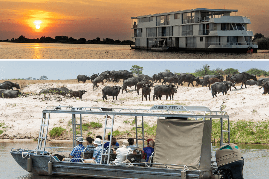 Chobe River Safari