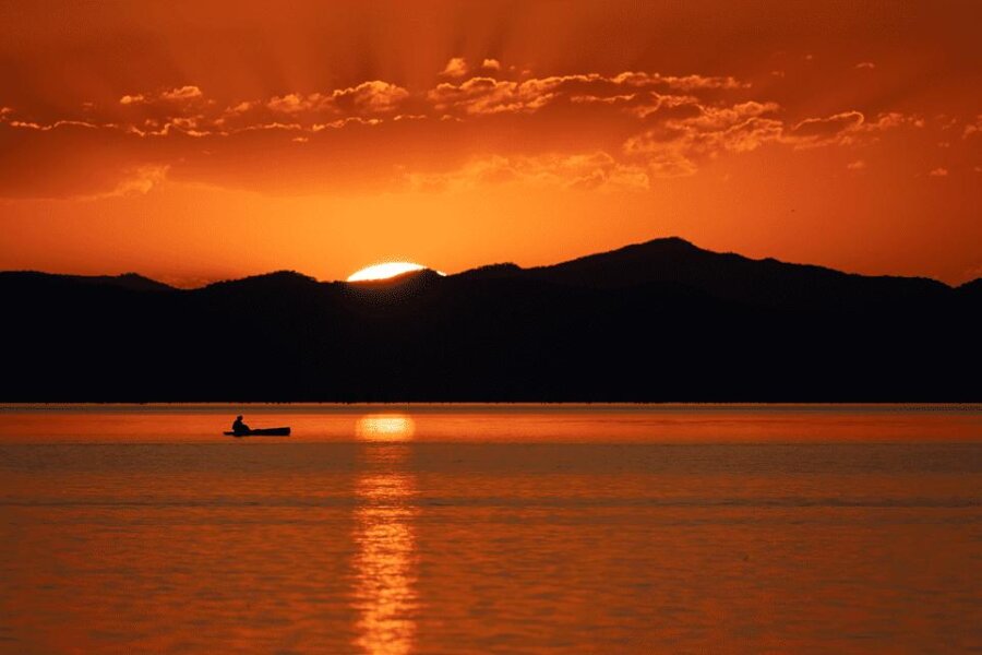 Landscape in Amber season