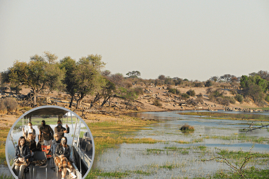 Safari journey in Botswana Magkadigkadi