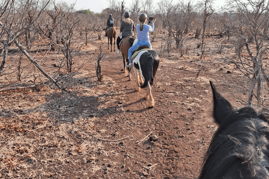 Horseback part of Victoria Falls activities