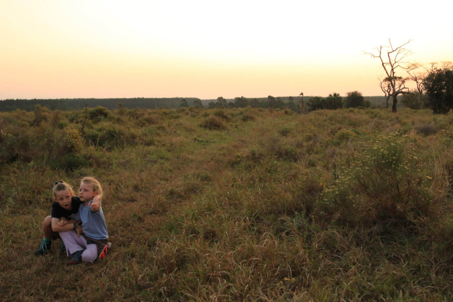 Creating memories on a family safari