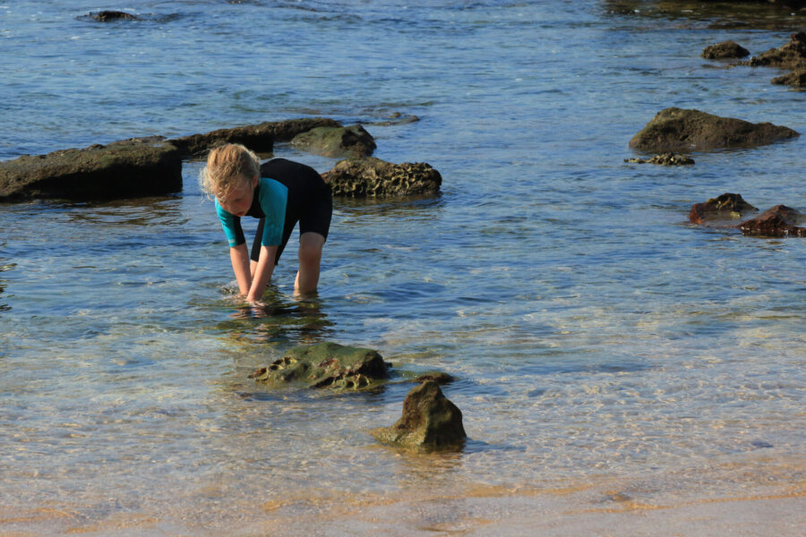 Beach after a safari