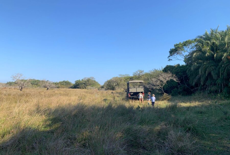 Kids enjoying the outdoors on safari