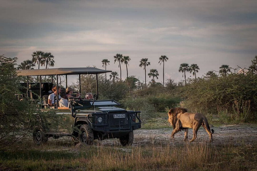 Okavango Delta with Kids