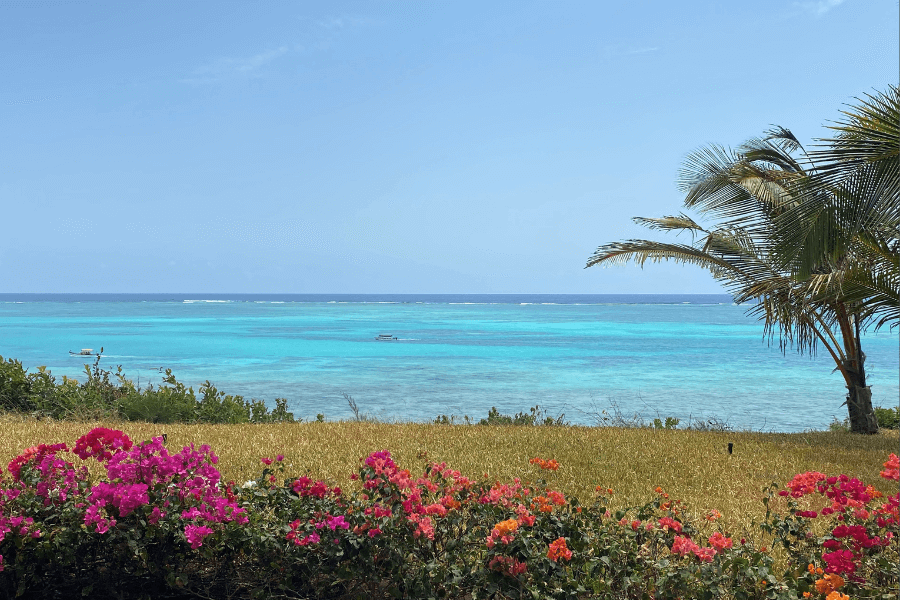 Indian Ocean view from Zanzibar Island