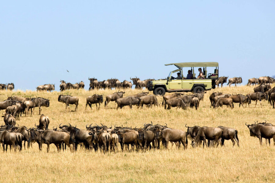 Wildebbest migration on game drive in Central Serengeti