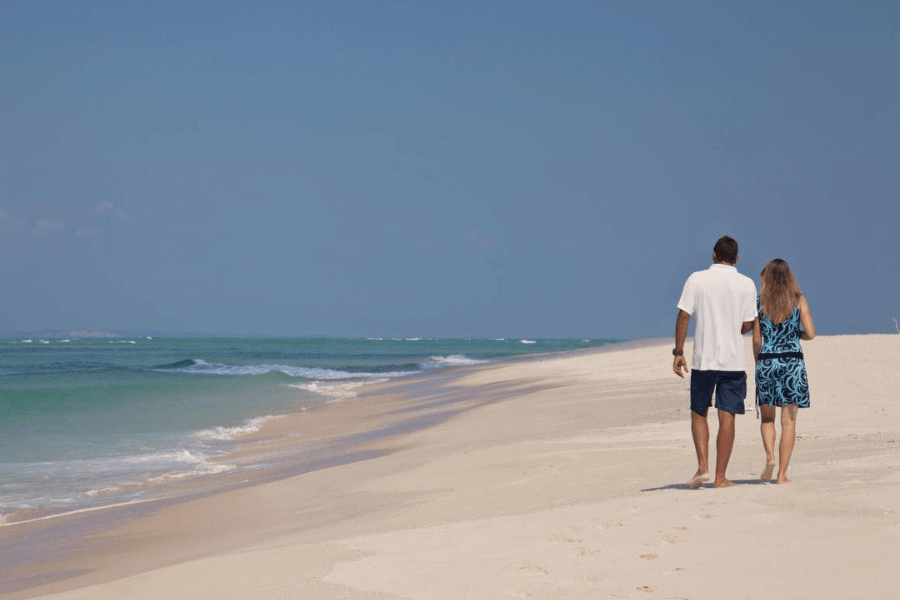 Explore Africa's Marine World