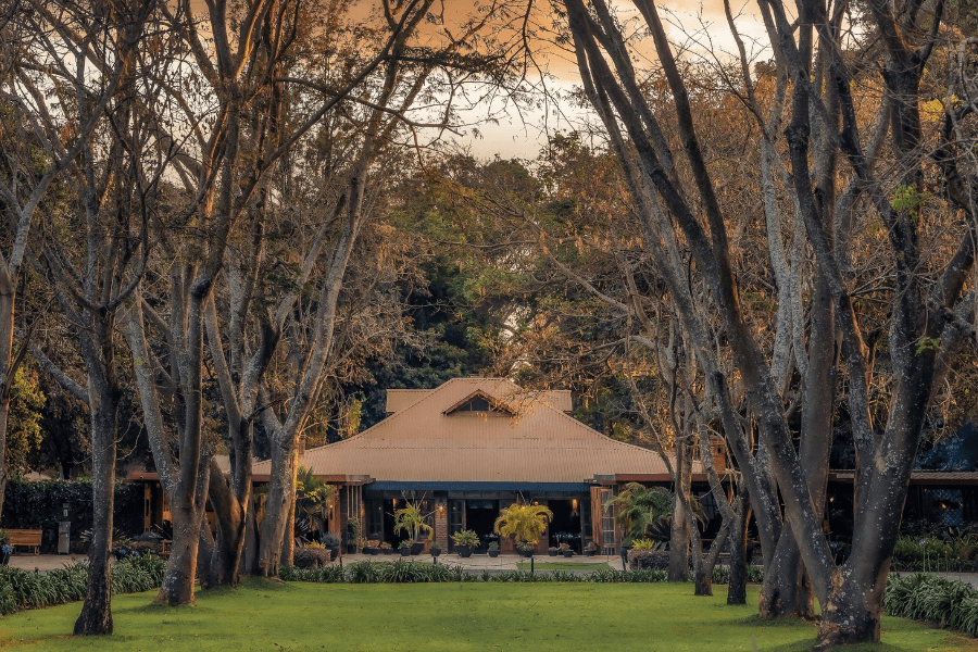 Coffee farm at the Arusha safari gateway, where Tanzania’s highlands meet classic safari adventures.