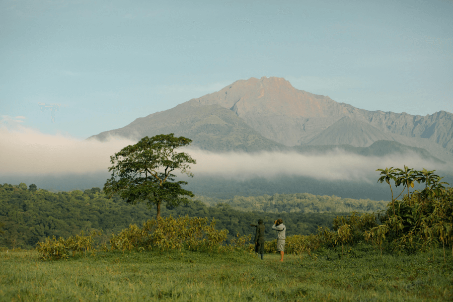 Mount Meru rising majestically in Arusha National Park, viewed from the Arusha safari gateway.
