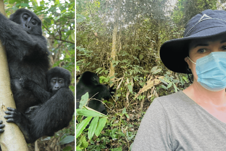 Why Uganda: gorilla trekking by Ilona Biagio