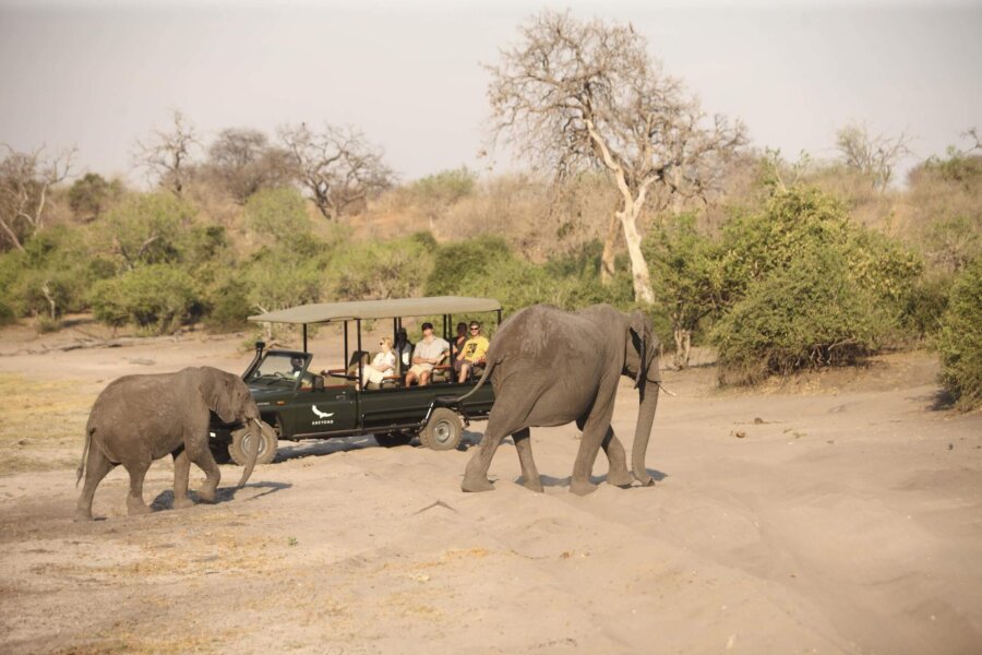 Classic game drive scene