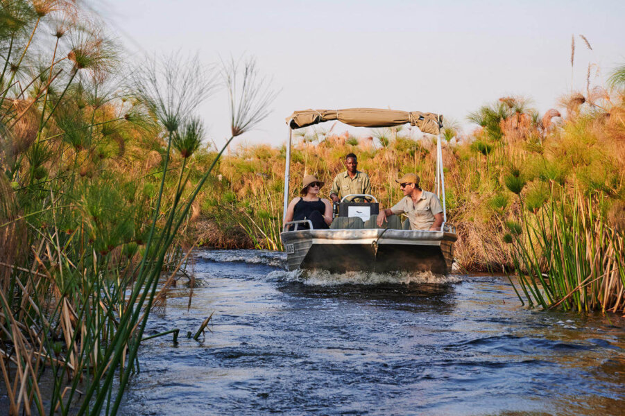 Your Non-Stop Safari Destinations