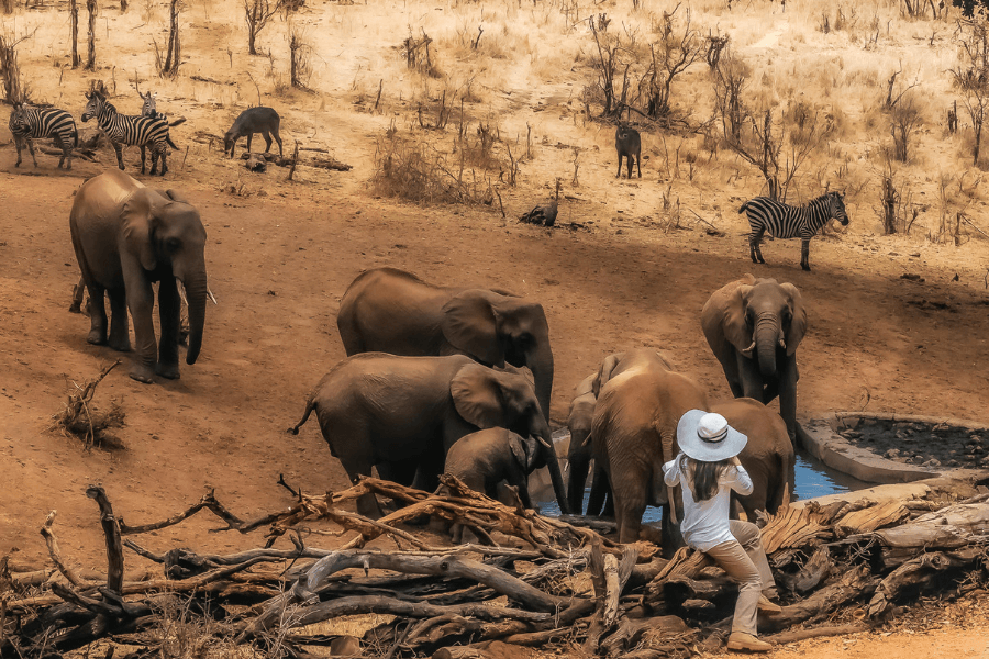 Cherry on the top Tarangire elephant sighting