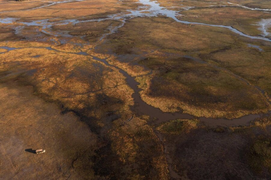 Game drive transfer in Zambia's Busanga Plains