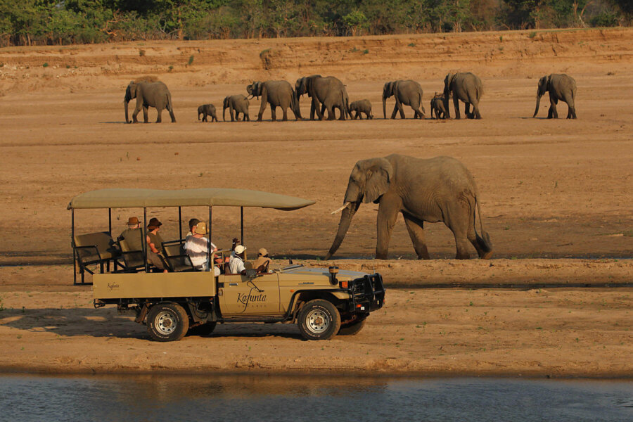 Non Stop Safari Destination in dry season