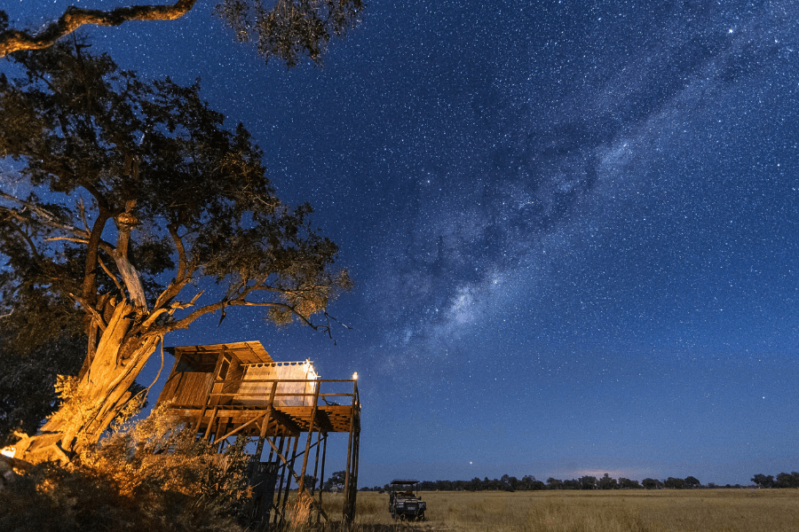 A sleepout experience in the Okavango Delta featuring beds under mosquito nets on an open platform, with a clear starry night sky illuminating the surrounding wilderness