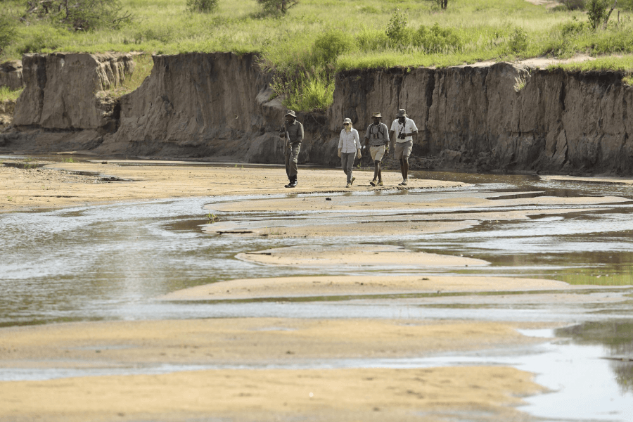 Guided bushwalk in Tarangire