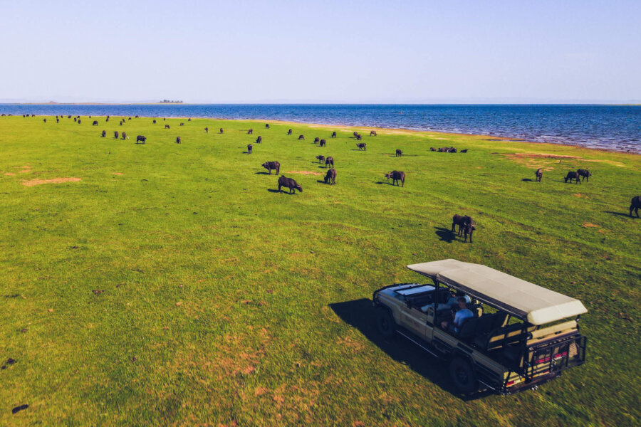 Matusadona game drive