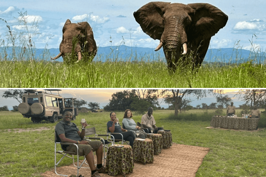 Game drive in Queen Elizabeth National Park by Ilona Biagio