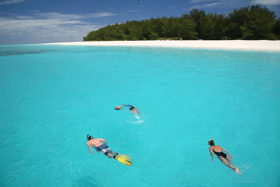 Couple snorkeling in Zanzibar