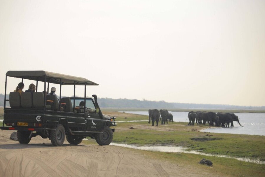 Chobe is a Non-Stop Safari Destinations