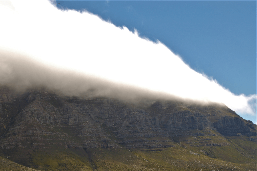 Table Mountain table cloth by The Fynbos Guy
