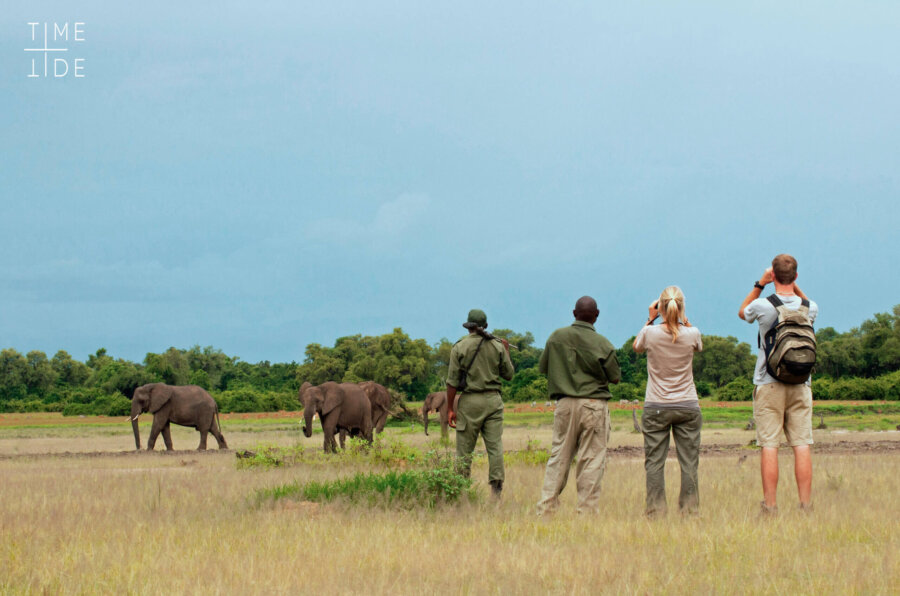 Walking safari on your Honeymoon