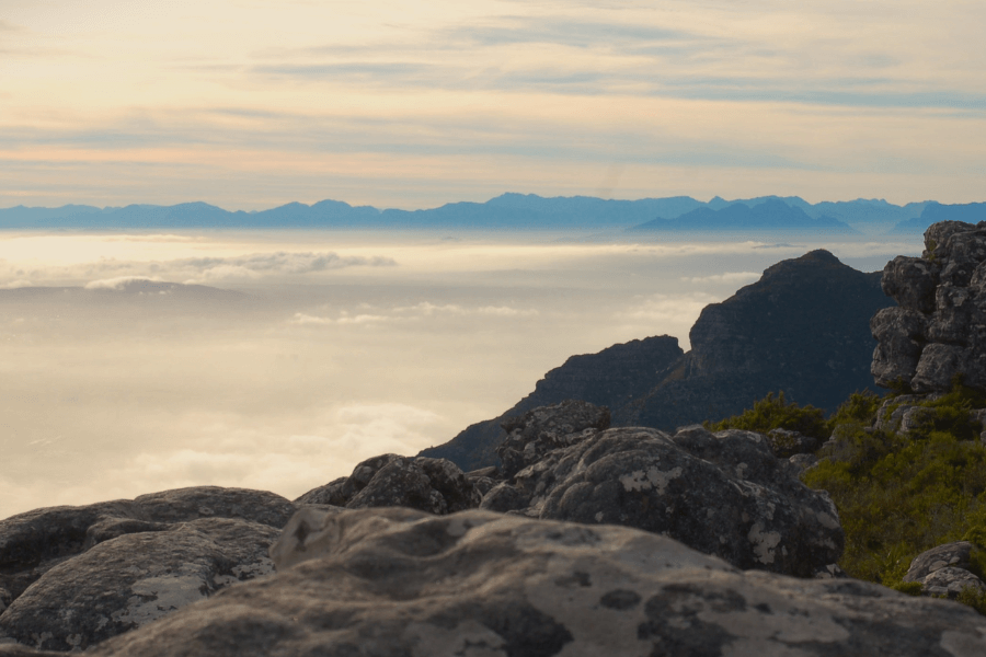 View from top of Table Mountain by The Fynbos Guy