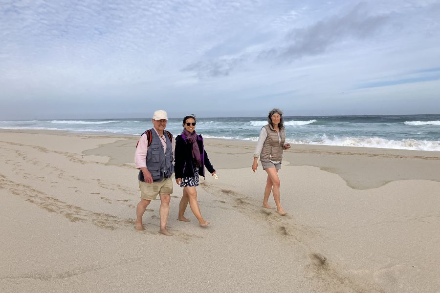 Peaceful beach walk